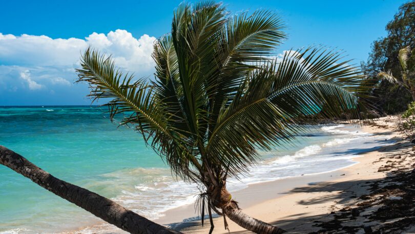 spiaggia Fiji